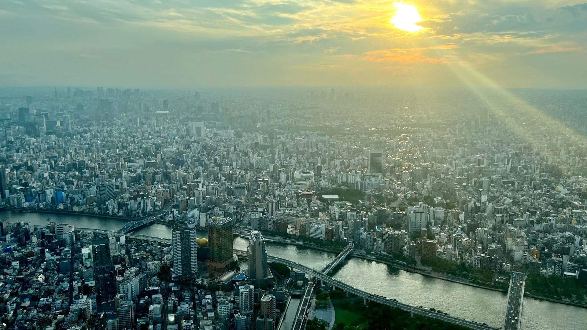 Untitled design (4) (1)